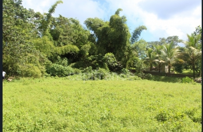 Vente Terrain 6130m&sup2; L'Ajoupa Bouillon