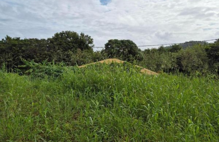 Vente Terrain 981m&sup2; Le Vauclin