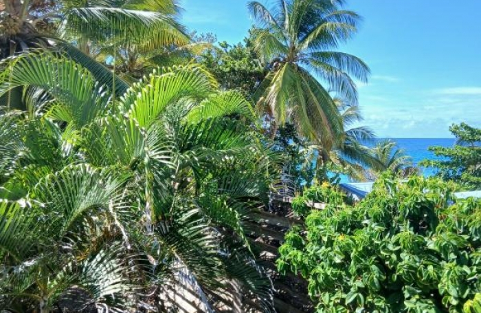 Location Appartement 59.39m&sup2; 3 pièces Le Diamant