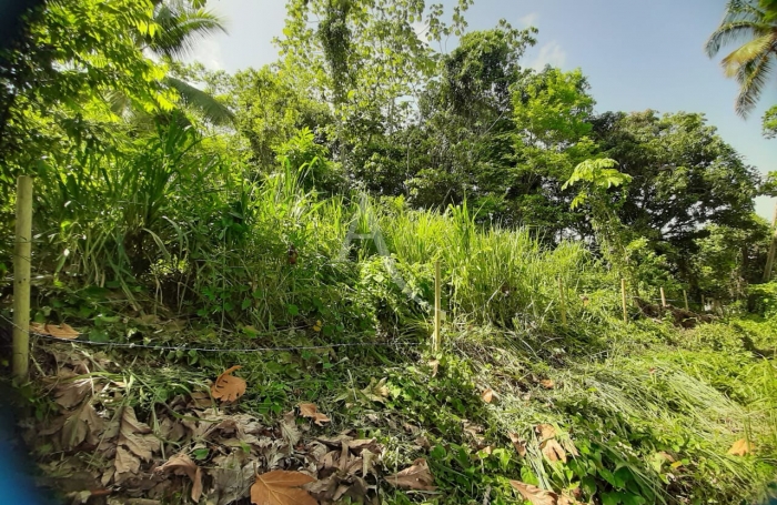 Vente Terrain 1082m² Ducos