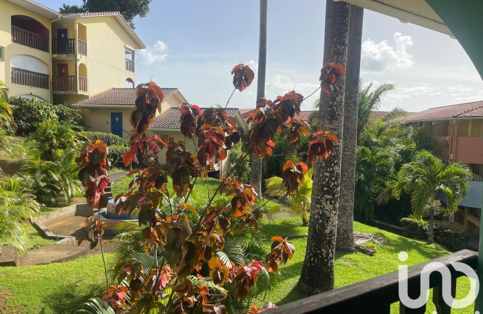 Vente Appartement 22m&sup2; 1 pièce Sainte Anne