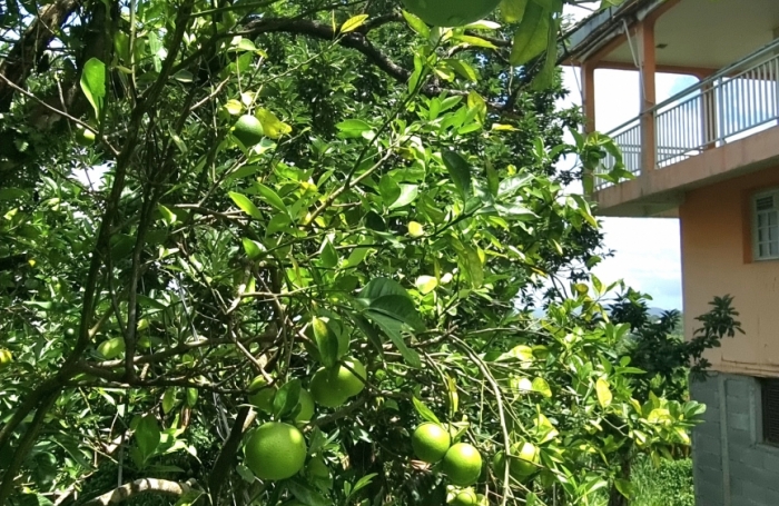 Vente Maison 250m&sup2; 9 pièces Ducos