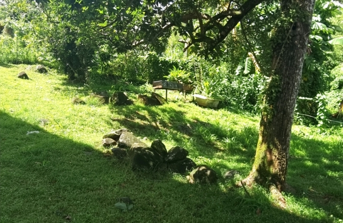 Vente Maison 250m&sup2; 9 pièces Ducos