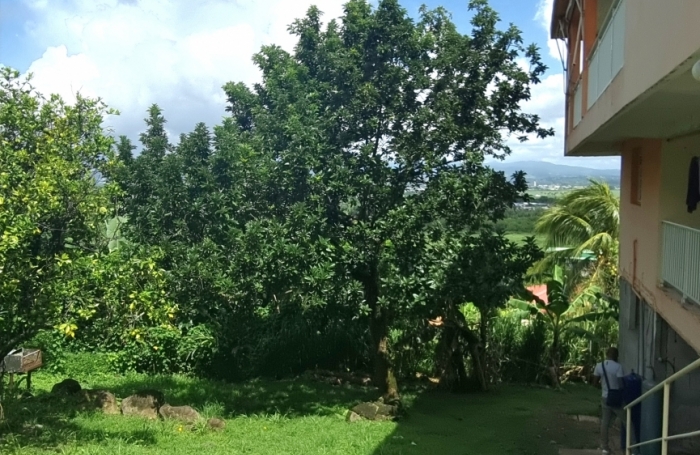 Vente Maison 250m&sup2; 9 pièces Ducos