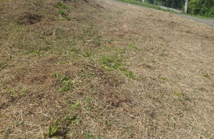 Vente Terrain 988m&sup2; Le François