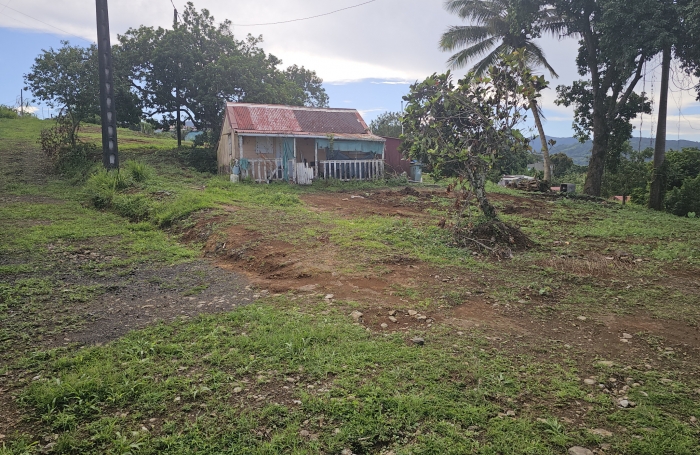 Terrain plat avec maisonnette &agrave; d&eacute;molir.