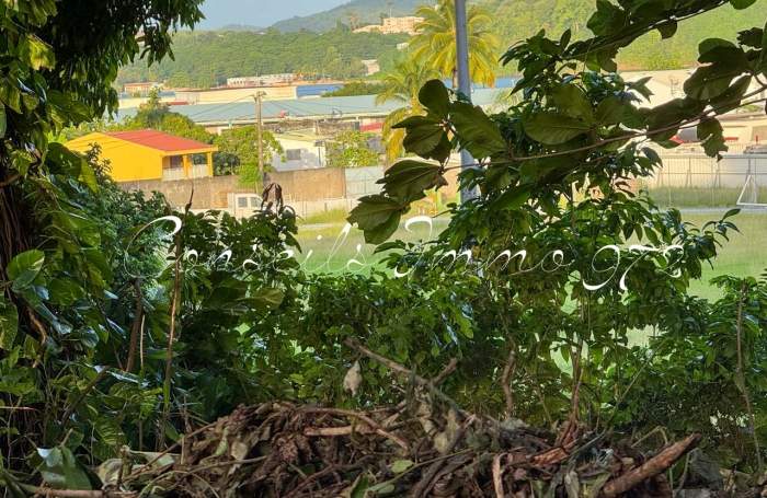 À Vendre - Terrain à fort potentiel - Trinité