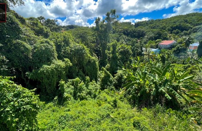 À Vendre - Terrain à fort potentiel - Trinité