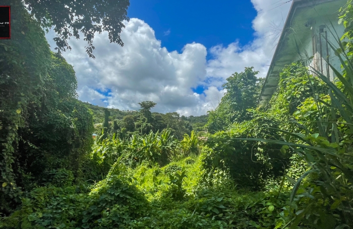 À Vendre - Terrain à fort potentiel - Trinité