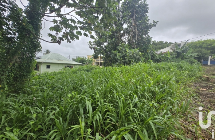 Vente Terrain 630m&sup2; Le Lamentin