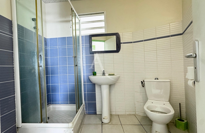 Vente Maison 247m&sup2; 8 pi&egrave;ces Le Robert