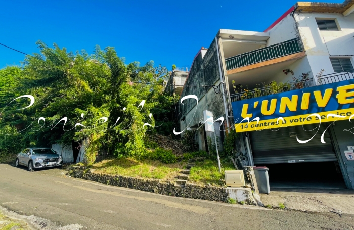 &Agrave; Vendre   Ensemble Immobilier &agrave; r&eacute;inventer   Bourg du Marin