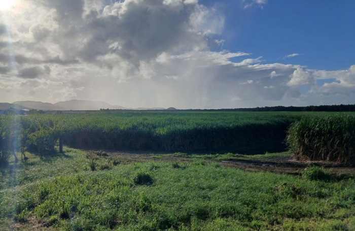 Location Maison 88.71m&sup2; 4 pièces Ducos