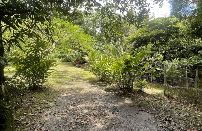 Vente Maison 68m&sup2; 3 pi&#232;ces Rivière Pilote