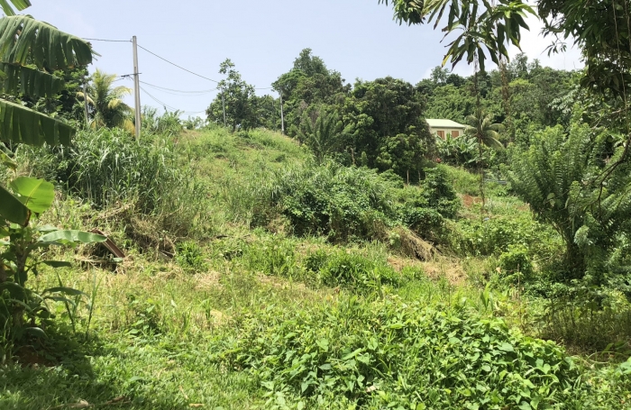 Terrain à bâtir de 709 m2 - LE FRANCOIS