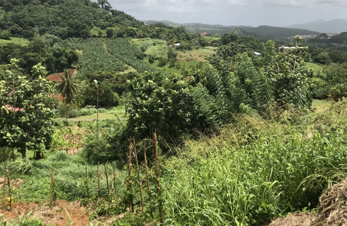 Terrain à bâtir de 709 m2 - LE FRANCOIS