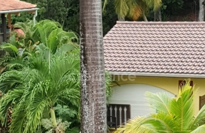 Vente Appartement 23m&sup2; 1 pièce Sainte Anne