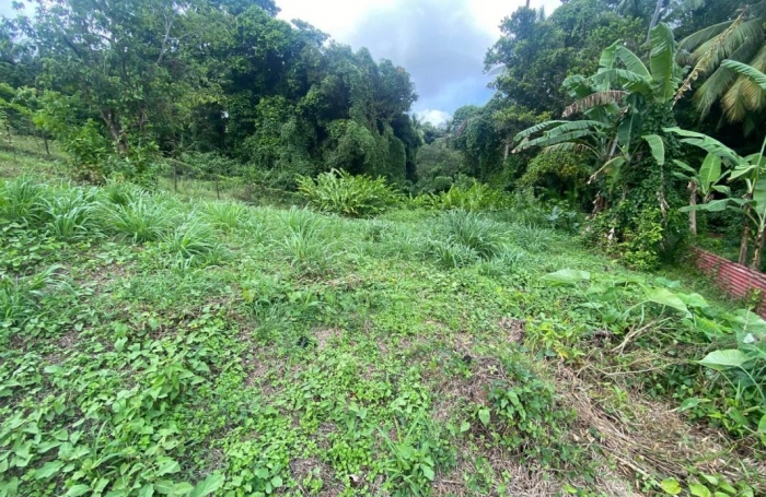 Vente Terrain 1239m&sup2; Le Robert