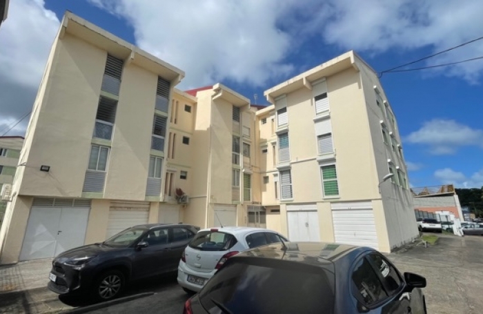 Appartement T4 avec locataire en place - LE ROBERT