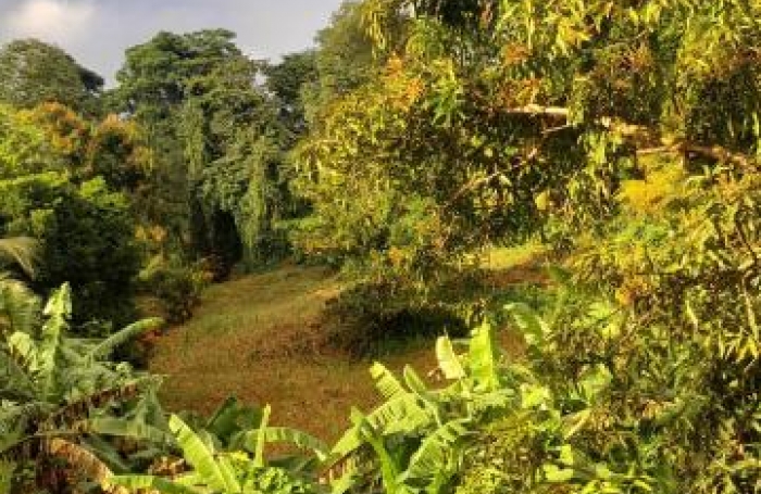 Vente Maison 181m&sup2; 7 pièces Ducos