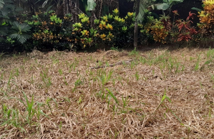 Vente Maison 181m&sup2; 7 pièces Ducos