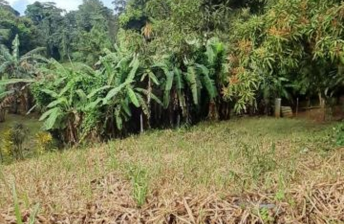 Vente Maison 181m&sup2; 7 pièces Ducos