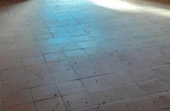 Vente Maison 181m&sup2; 7 pièces Ducos