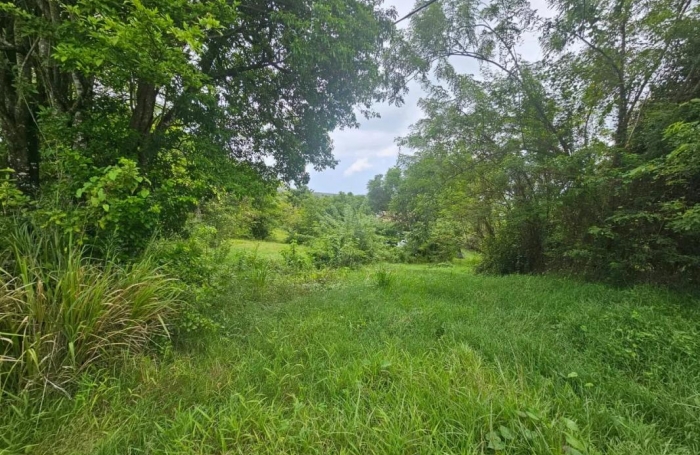 Vente Terrain 6200m&sup2; Les Trois Ilets