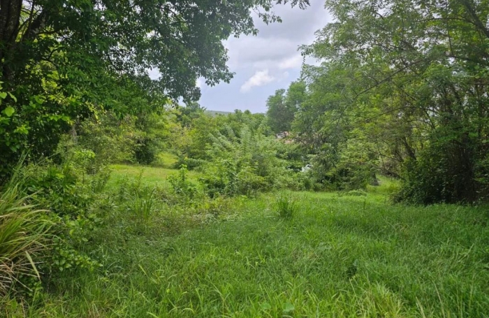 Vente Terrain 6200m&sup2; Les Trois Ilets