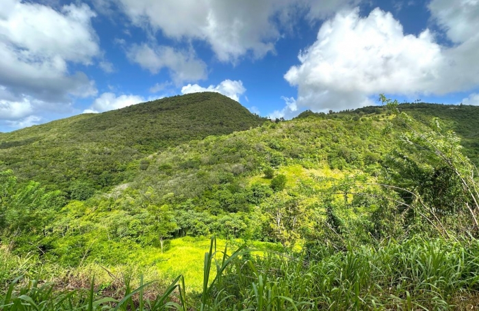 Vente Terrain 922m&sup2; Sainte Luce