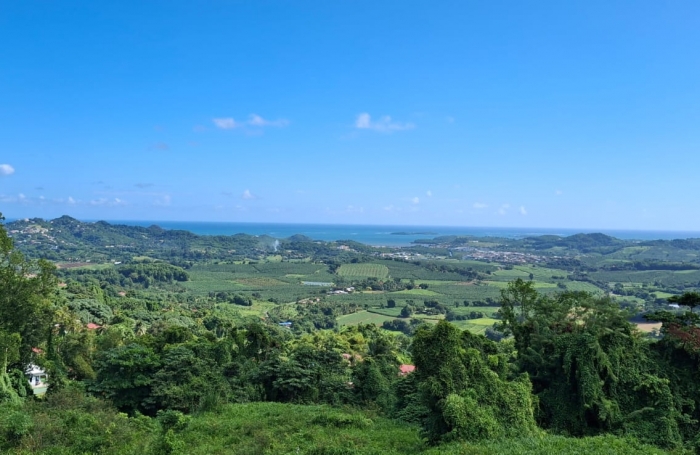 Immeuble de standing  de 4 appartements T2 avec magnifique vue mer et campagne