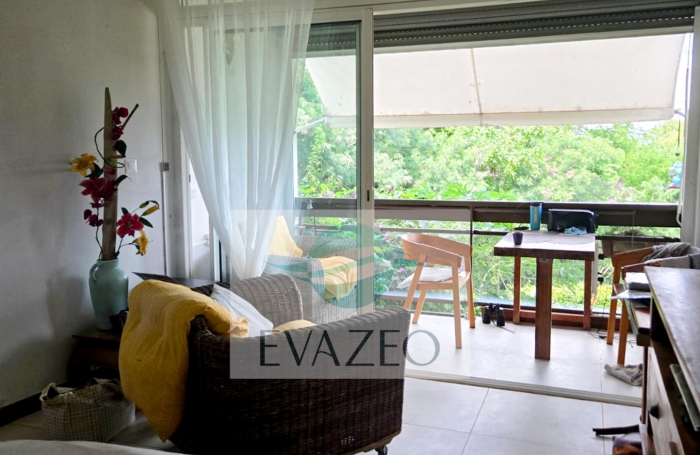 Studio 33m2 vue mer panoramique   TROIS ILETS