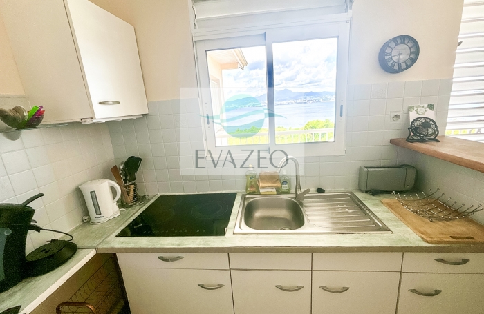 Appartement T2 de 37m2 + terrasse 12m2 TROIS ILETS