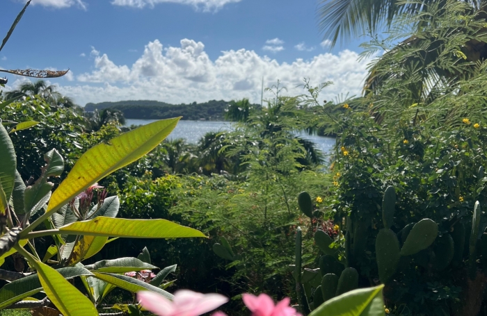 Vente Maison 197.76m&sup2; 6 pi&#232;ces Le Robert