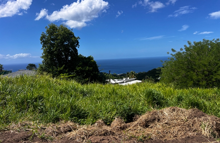 Vente Terrain 750m&sup2; Le Carbet