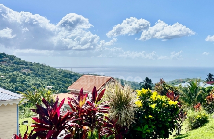 Vente Maison 239m&sup2; 9 pi&#232;ces Le Morne Vert