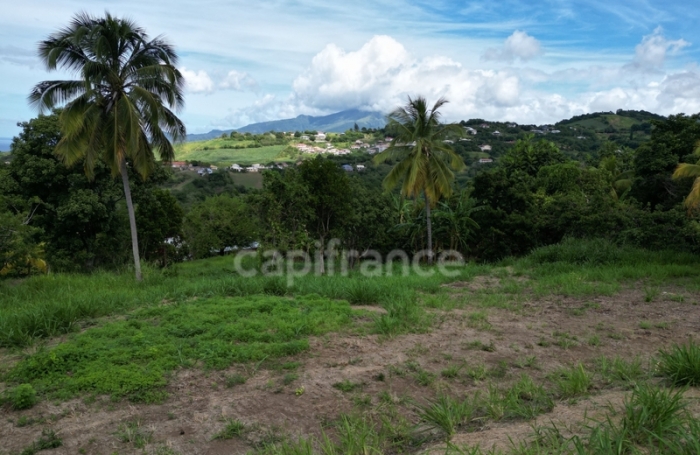 Vente Terrain 1060m&sup2; Le Carbet