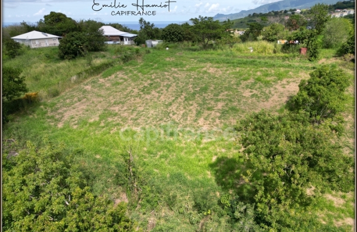 Vente Terrain 1919m&sup2; Le Carbet