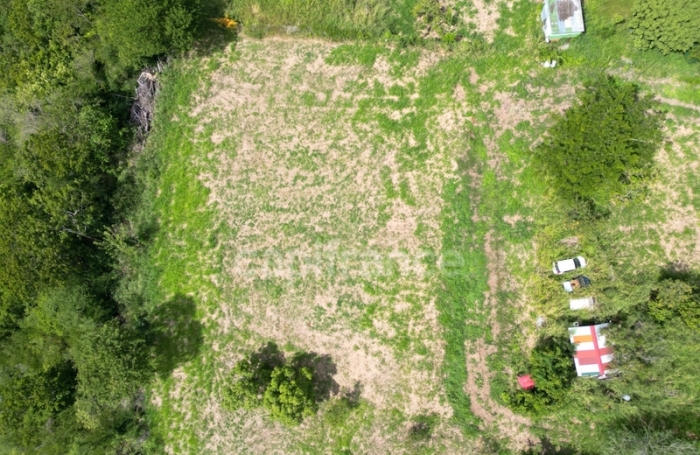 Vente Terrain 1919m&sup2; Le Carbet