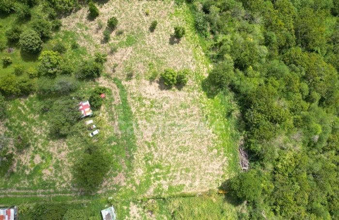 Vente Terrain 1919m&sup2; Le Carbet