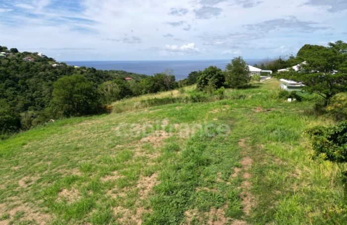 Vente Terrain 1919m&sup2; Le Carbet