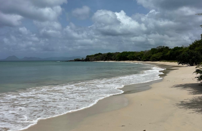 Vente Appartement 35m&sup2; 2 pi&#232;ces Sainte Anne