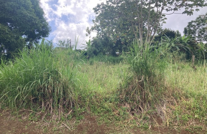 Vente Terrain 1424m&sup2; Saint-Esprit