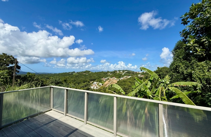 Jolie maison T4 rénovée - SAINTE-LUCE