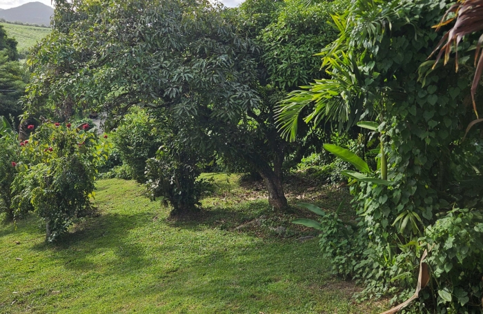 Jolie maison familiale avec grande terrasse et jardin