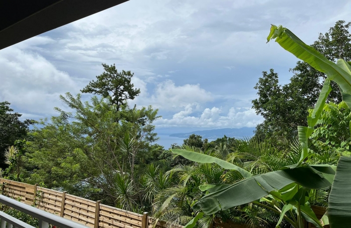 Haut de villa T5 meublé indépendant avec piscine privée et grand terrain arboré