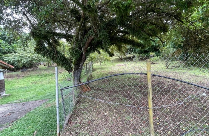 Location Maison 88m&sup2; 4 pi&#232;ces Ducos