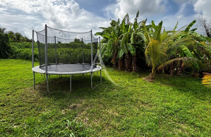 Location Appartement 80.4m² 3 pièces Le Robert