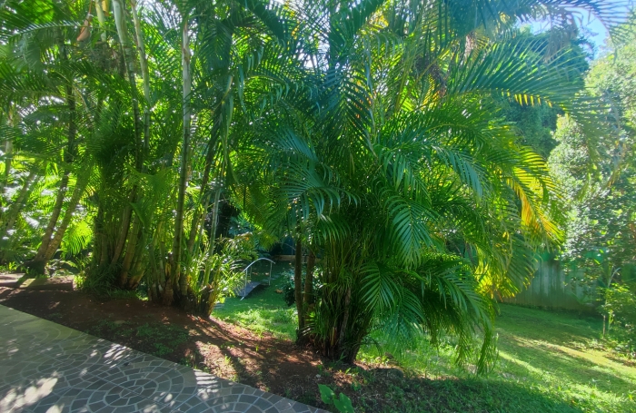 Charmant T3 meublé- EAU et ELECTRICITE compris