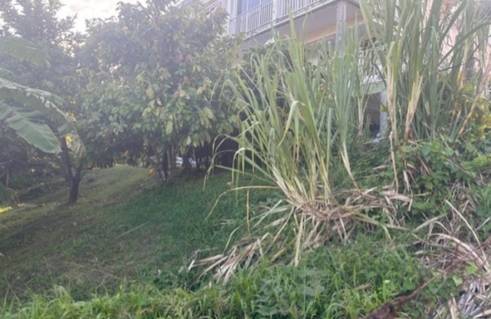 Vente Maison 272m&sup2; 5 pi&#232;ces Le François